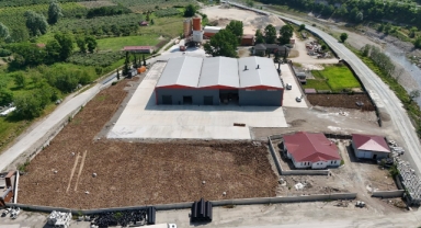 Ordu'da fındık kabuğundan aktif karbon üretecek tesis bölge ekonomisine güç katacak