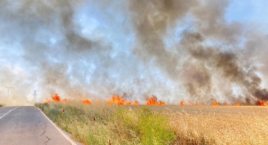 Tekirdağ’da 250 dönüm buğday yandı