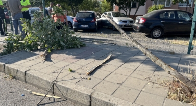Tırın çarptığı otomobil site bahçesine uçtu: 2 yaralı