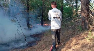 Amasya'da orman yangını