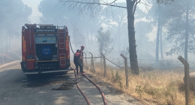 Anız yangını ormana sıçradı, 16 hektar kül oldu