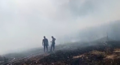 Anız yangını paniğe neden oldu