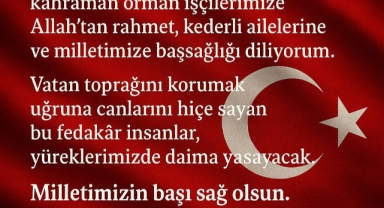 Aydındere Belediye Başkanı Demir’den Eskişehir’deki Orman Yangını Şehitleri İçin Taziye Mesajı