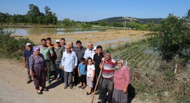 Bafra'da su kanalı taştı, mahsuller sular altında: Üreticiler tepkili