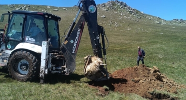 Bektaş Yaylası’nda Kurt Sürüsü Saldırısında Telef Olan Koyunlar Gömüldü
