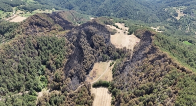 Bolu Göynük'teki orman yangınında 35 hektarlık alan zarar gördü