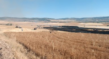 Çorum'da çıkan yangında 3 bin dekar buğday tarlası zarar gördü