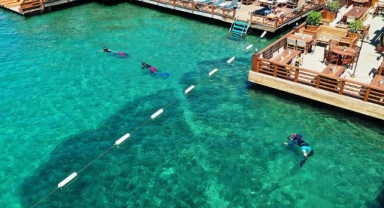 Denize dalarken dikkat: Boyun travması ve felç riski uyarısı