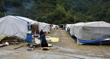 Fındık Hasadı Başlıyor: Mevsimlik Tarım İşçileri Alanlara Yerleşti