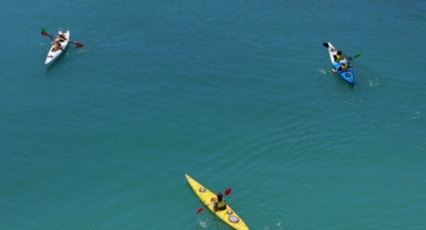 Geleceğin su sporcuları Karadeniz'de yetişiyor