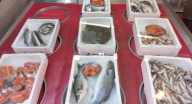 Giresun'da balık fiyatları bugün ne kadar?