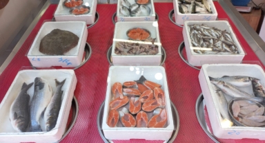 Giresun'da balık fiyatları bugün ne kadar?