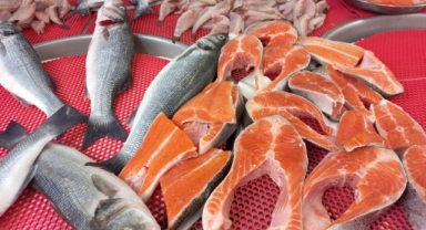 Giresun'da balık fiyatları bugün ne kadar?