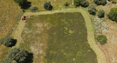 Giresun'da tarımsal üretim planı ile yetiştirilen ürünlerin ilk hasadı yapıldı