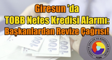 Giresun'da TOBB Nefes Kredisi Alarmı: Başkanlardan Revize Çağrısı!