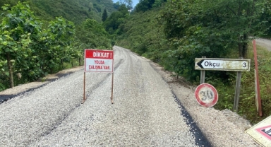 Giresun Köy Yollarında Ulaşım Standartları Yükseliyor: Milletvekili Temür Detayları Açıkladı