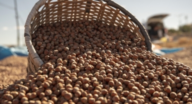 Giresun Ticaret Borsası açıkladı: 10 ayda kaç ton fındık işlem gördü?