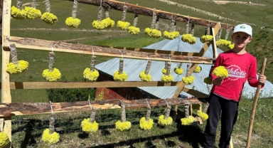 Giresun’un Küçük Esnafları Yaylada Çiçek Satarak Harçlık Kazanıyor