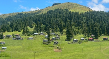 Giresun’un Saklı Cenneti Gölyanı Yaylası Turizme Kazandırılıyor