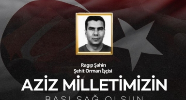 Giresun Valiliği'nden Şehit Orman İşçisi Şahin İçin Taziye Mesajı