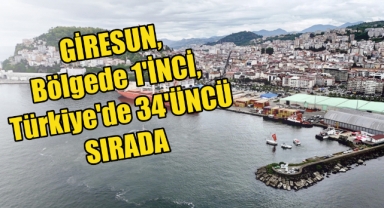 Giresun Yükselişte: 2025 Yılının İlk Yarısında Bölge Liderliği!