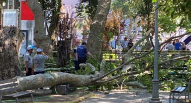 Giresunlu Genç Kızdan Acı Haber: 16 Günlük Yaşam Mücadelesini Kaybetti