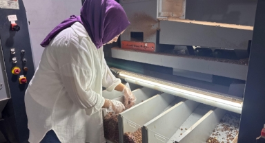 Giresunlu kadın girişimci, KOSGEB desteğiyle kurduğu tesiste üretime güç veriyor