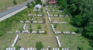 Gür ormanlarda üretilen tescilli Sinop kestane balının hasadı tamamlandı