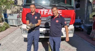 İtfaiye ekiplerinden yavru kedi kurtarma operasyonu