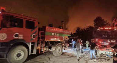 Karabük'te orman yangını büyüyor, iki mahalle tahliye edildi