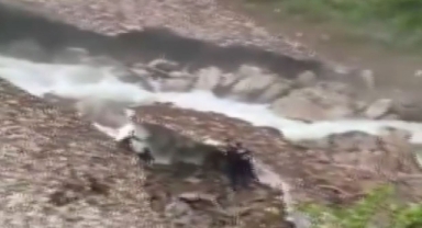 Karadeniz'in o yaylasında kar kütlesi çöktü! Bir kişi aranıyor