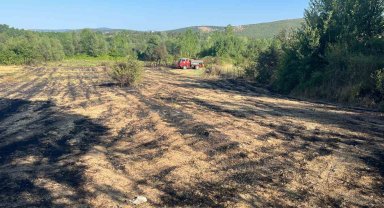Kastamonu'da elektrik tellerinin kopması sebebiyle ormanlık alanda çıkan yangın söndürüldü