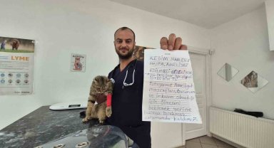 Kediyi not yazıp çanta içinde veteriner kiliğinin kapısına bıraktılar