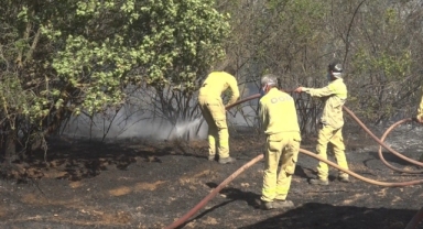 O ilin Valisi yangınlara karşı uyardı   