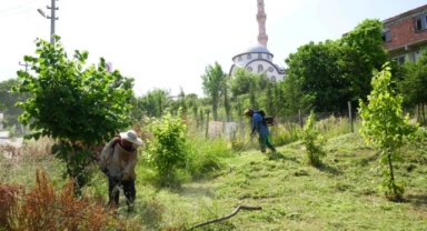 Piraziz'de Temizlik Seferberliği Sürüyor