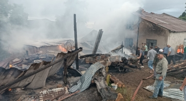Samsun'da çıkan yangın bir ev ve ahırda hasara yol açtı