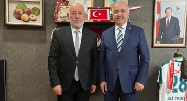 Şebinkarahisar Yatırımları TBMM'de Görüşüldü