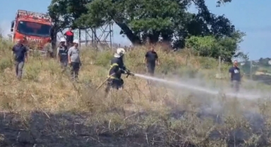 Sinop'ta çöp yangını otlara sıçradı