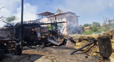 Tokat'ta çıkan yangında 7 büyükbaş hayvan öldü