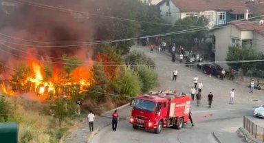 Tokat'ta arı kovanları küle döndü
