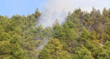 Tokat'ta çıkan orman yangını kontrol altına alındı