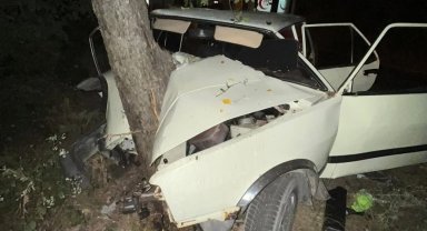 Virajı alamayan otomobil ağaca çarptı: 2 kişi yaralandı