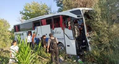 Yolcu otobüsü yoldan çıkarak ağaçlara çarptı: 7 yaralı