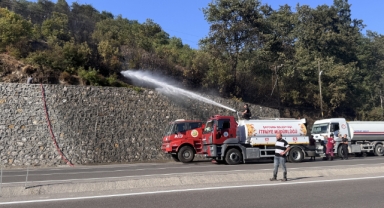 Zonguldak'ta çıkan örtü yangını kontrol altına alındı