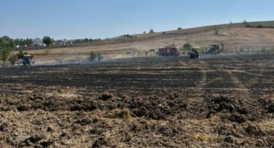 20 dönümlük alan anız yangınında kül oldu