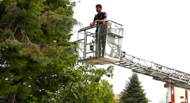 Ağaçta mahsur kalan kediyi itfaiye ekipleri kurtardı