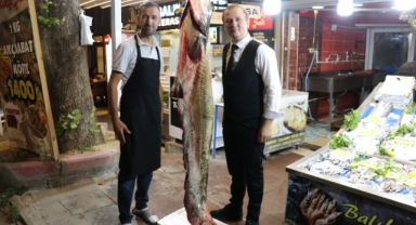Amasya'da 2 metre 20 santimetre uzunluğunda yayın balığı yakalandı