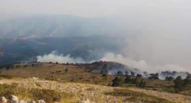 Amasya’da orman yangını: 35 hektar alan zarar gördü