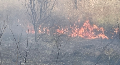 Arazi yangınında 50 dönüm alan zarar gördü   