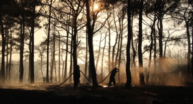 Bakan Yumaklı: 'Yangın büyük ölçüde kontrol altına alındı'